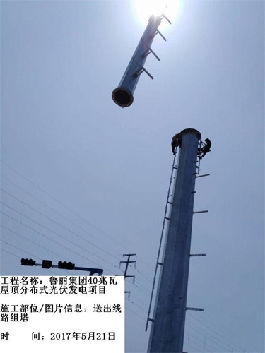 山東魯麗集團（40MWp）屋頂分布式光伏發電項目EPC工程2.jpg