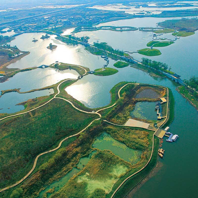 伊通河城區段百里綜合整治項目南溪濕地綜合治理工程—景觀綠化工程監理